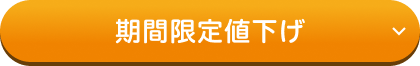 期間限定値下げ