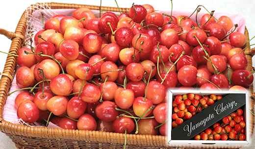 山形県産 さくらんぼ 佐藤錦 お徳用 小粒 色ムラありの商品画像