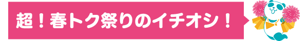 超！春トク祭りのイチオシ！