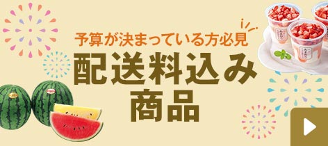 予算が決まっている方必見 配送料込み商品
