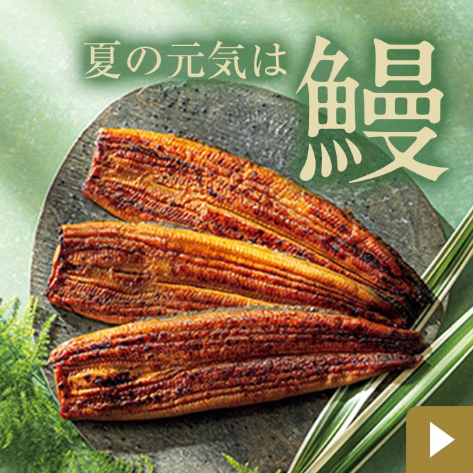 鰻