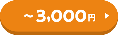 3,000円まで