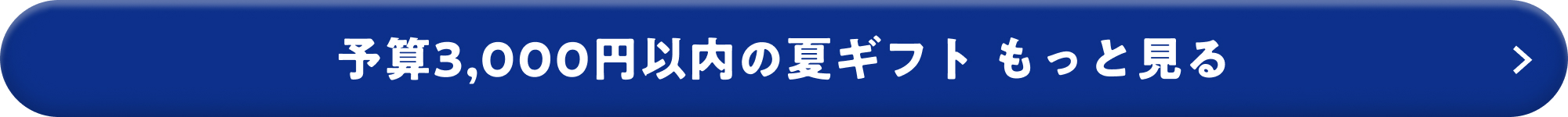予算3,000円以内の夏ギフト もっと見る