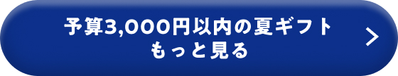 予算3,000円以内の夏ギフト もっと見る
