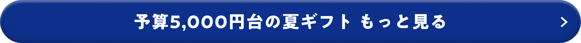 予算5,000円台の夏ギフト もっと見る