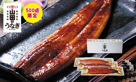 山田水産 山田のうなぎ蒲焼き 3尾の商品画像