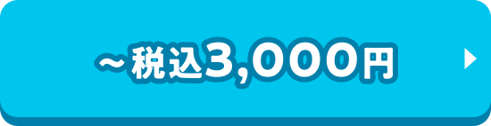 〜税込3,000円