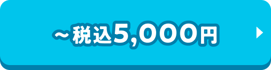 〜税込5,000円