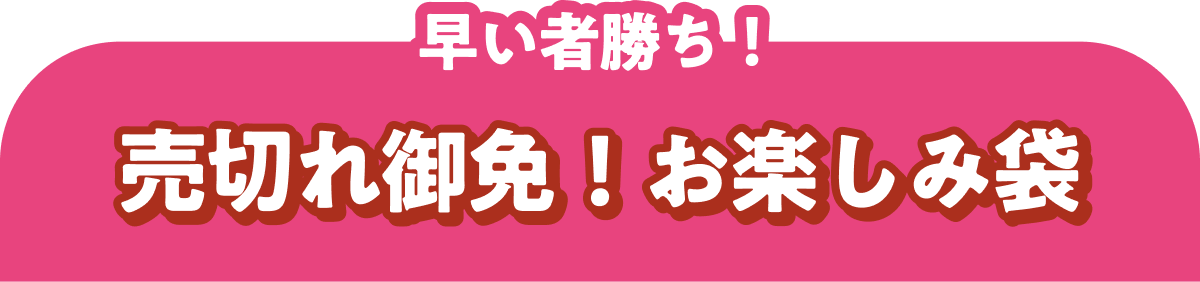早い者勝ち! 売切れ御免!お楽しみ袋