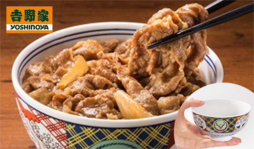 吉野家お茶碗付き 牛丼の具 並盛 120g×15袋の商品画像