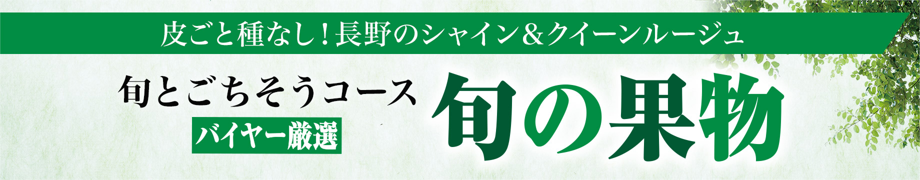 皮ごと種なし！長野のシャイン&クイーンルージュ 旬とごちそうコースバイヤー厳選 旬の果物