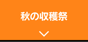秋の収穫祭