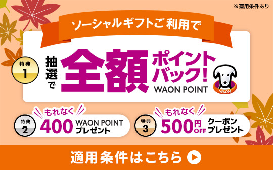 ソーシャルギフトご利用で特典1全額ポイントバック！WAOIN POINT 特典2もれなく400WAON POINTプレゼント 特典3もれなく500円OFFクーポンプレゼント ※適用条件あり 適用条件はこちら