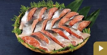 魚介グルメのイメージ画像