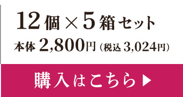 メリーチョコレート ファンシーチョコレート 12個×5箱  本体2,800円  税込3,024円