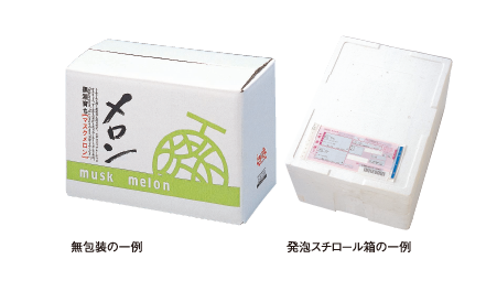 無包装の一例発泡スチロール箱の一例