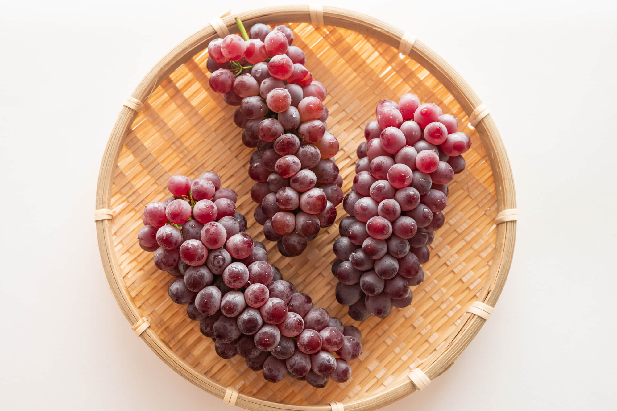 大見出し大見出し