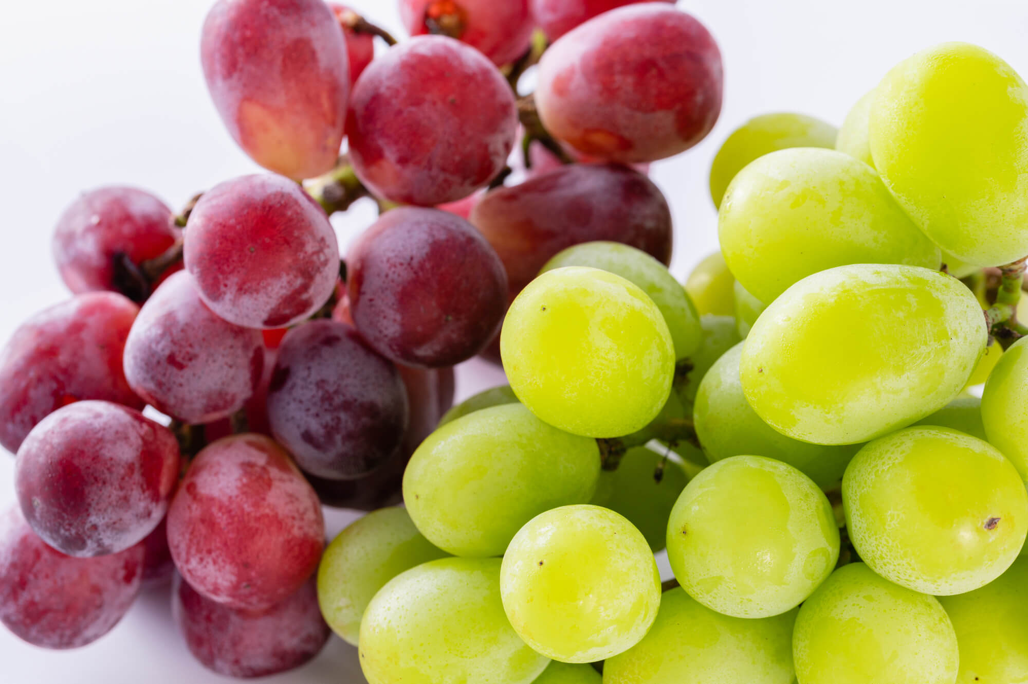 大見出し大見出し