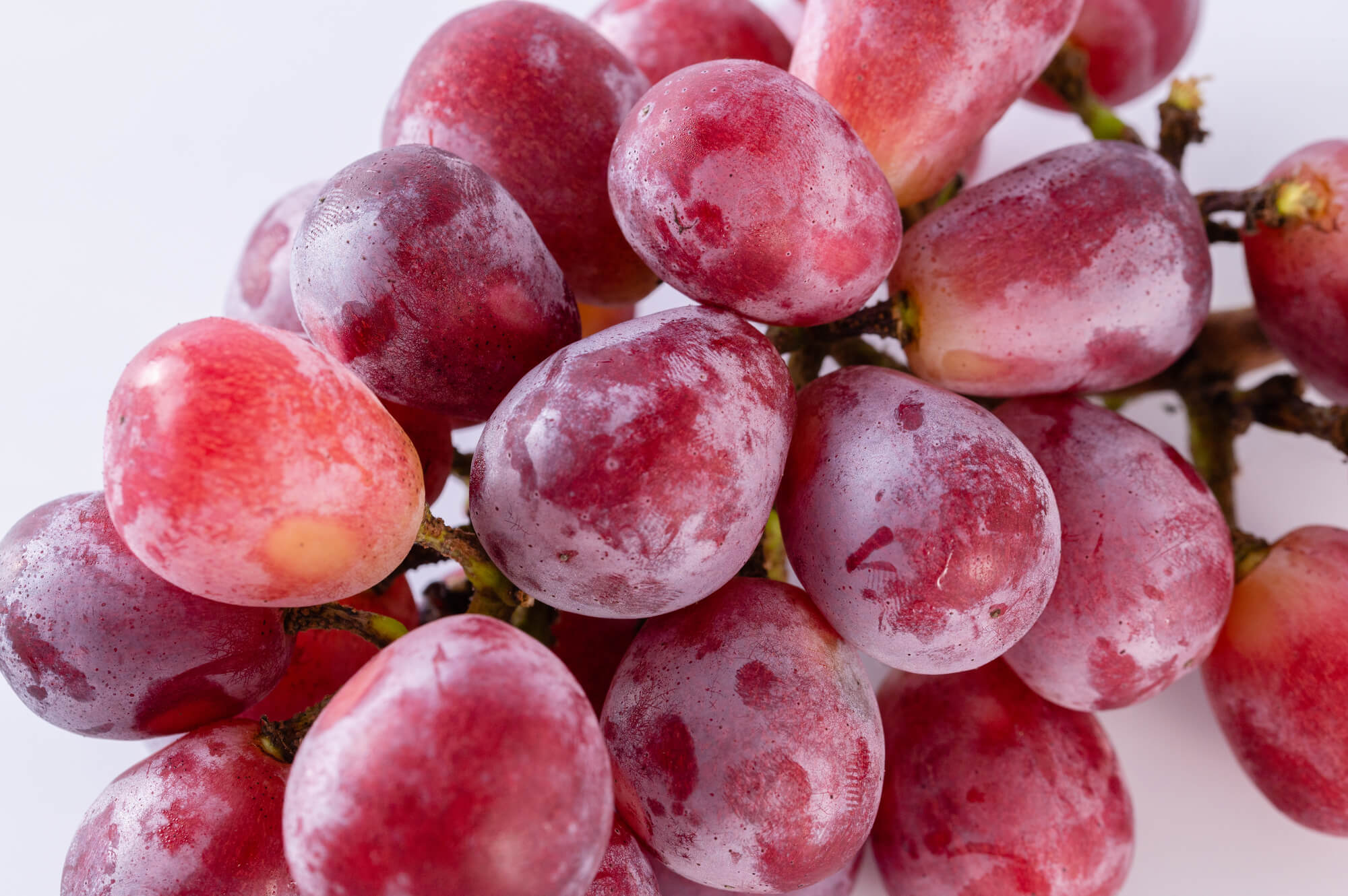 大見出し大見出し