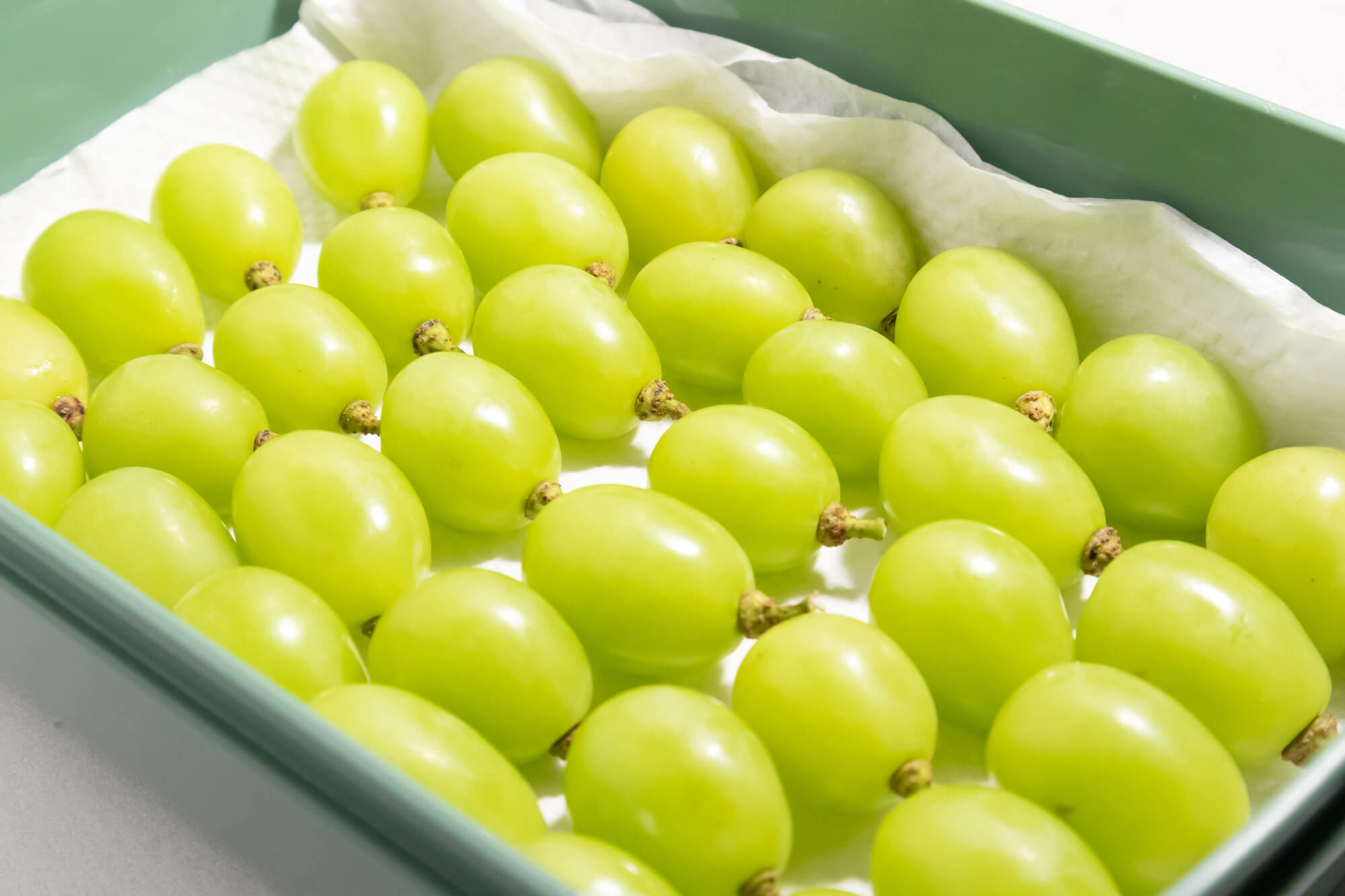 大見出し大見出し