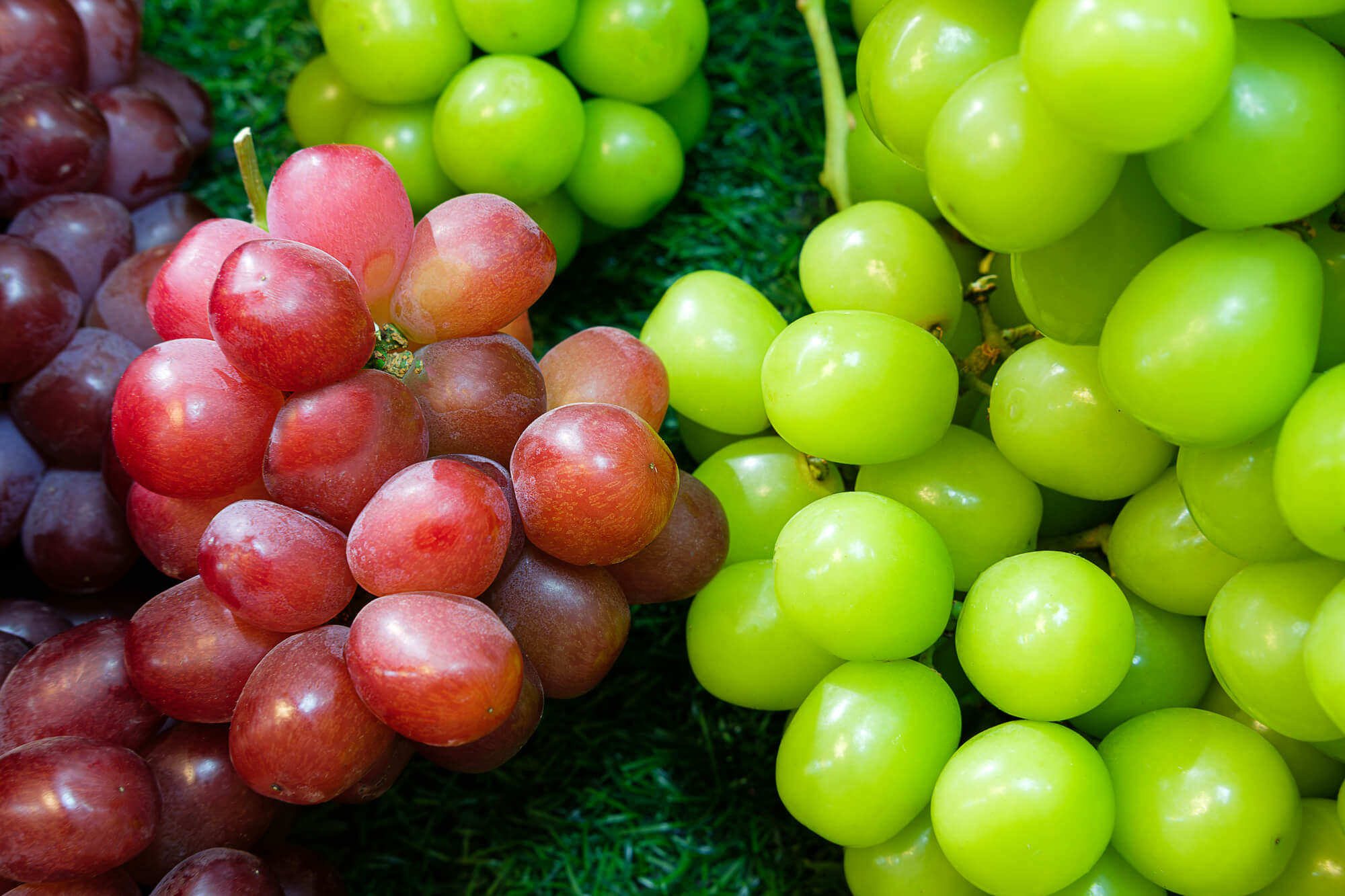 大見出し大見出し