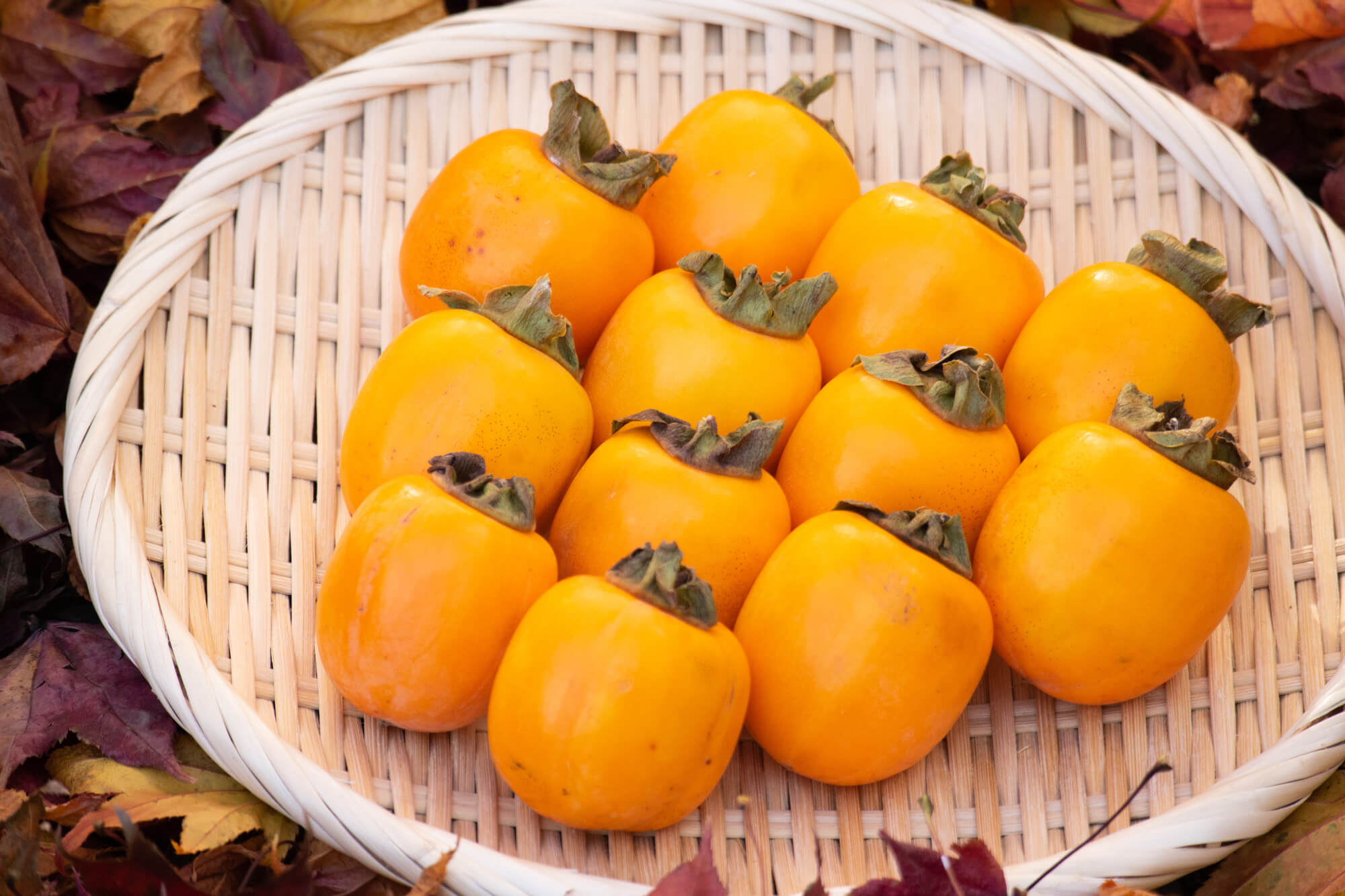 大見出し大見出し