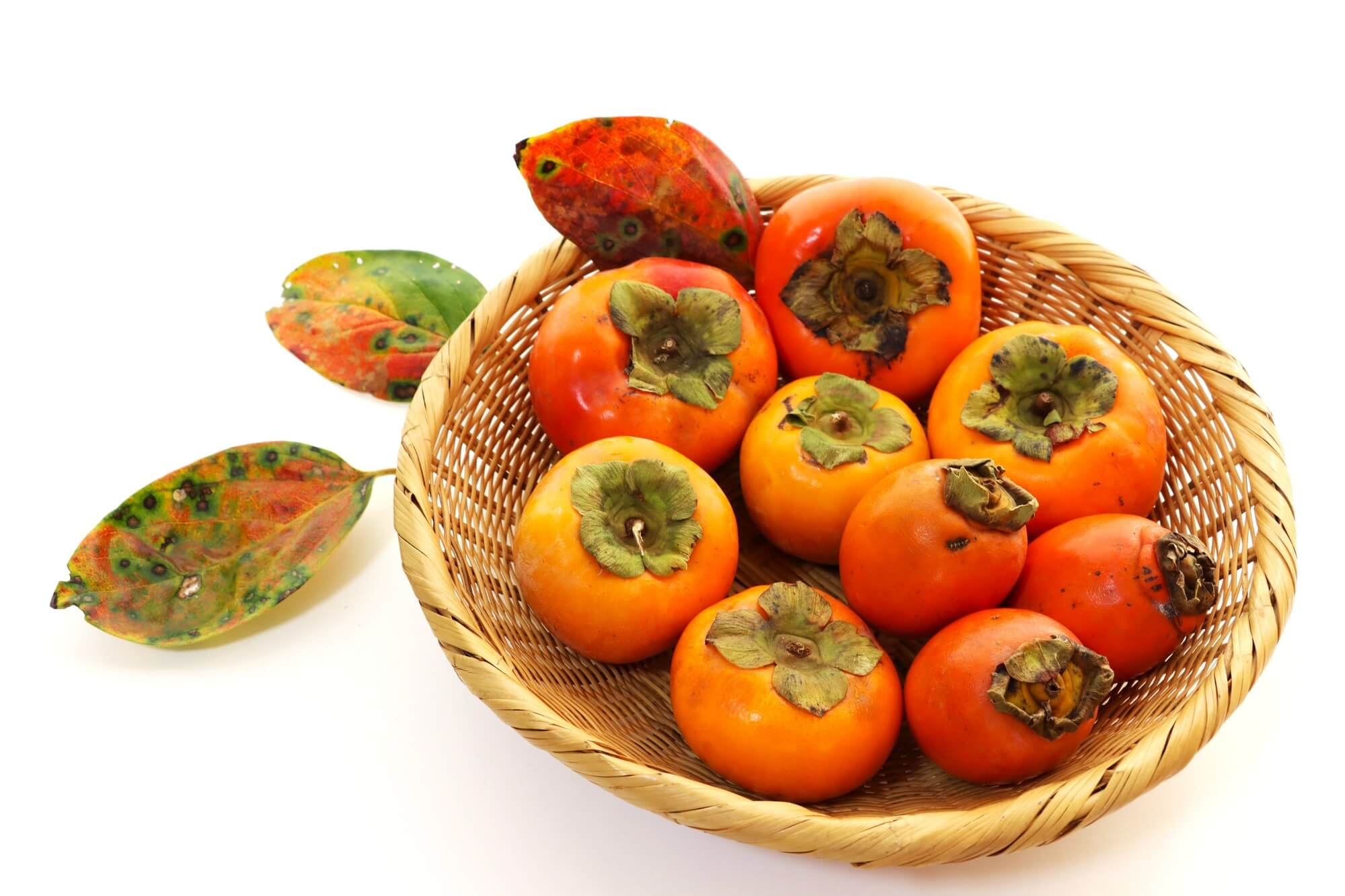 大見出し大見出し