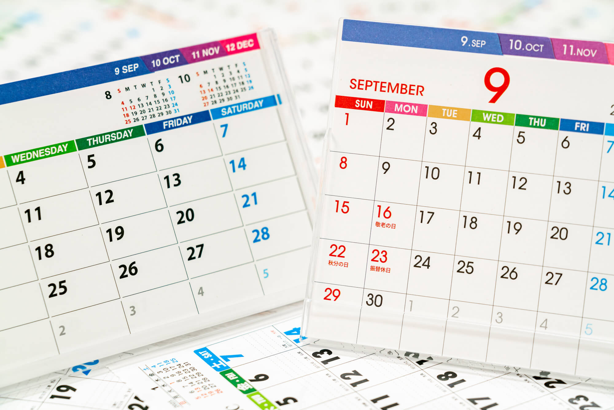 大見出し大見出し