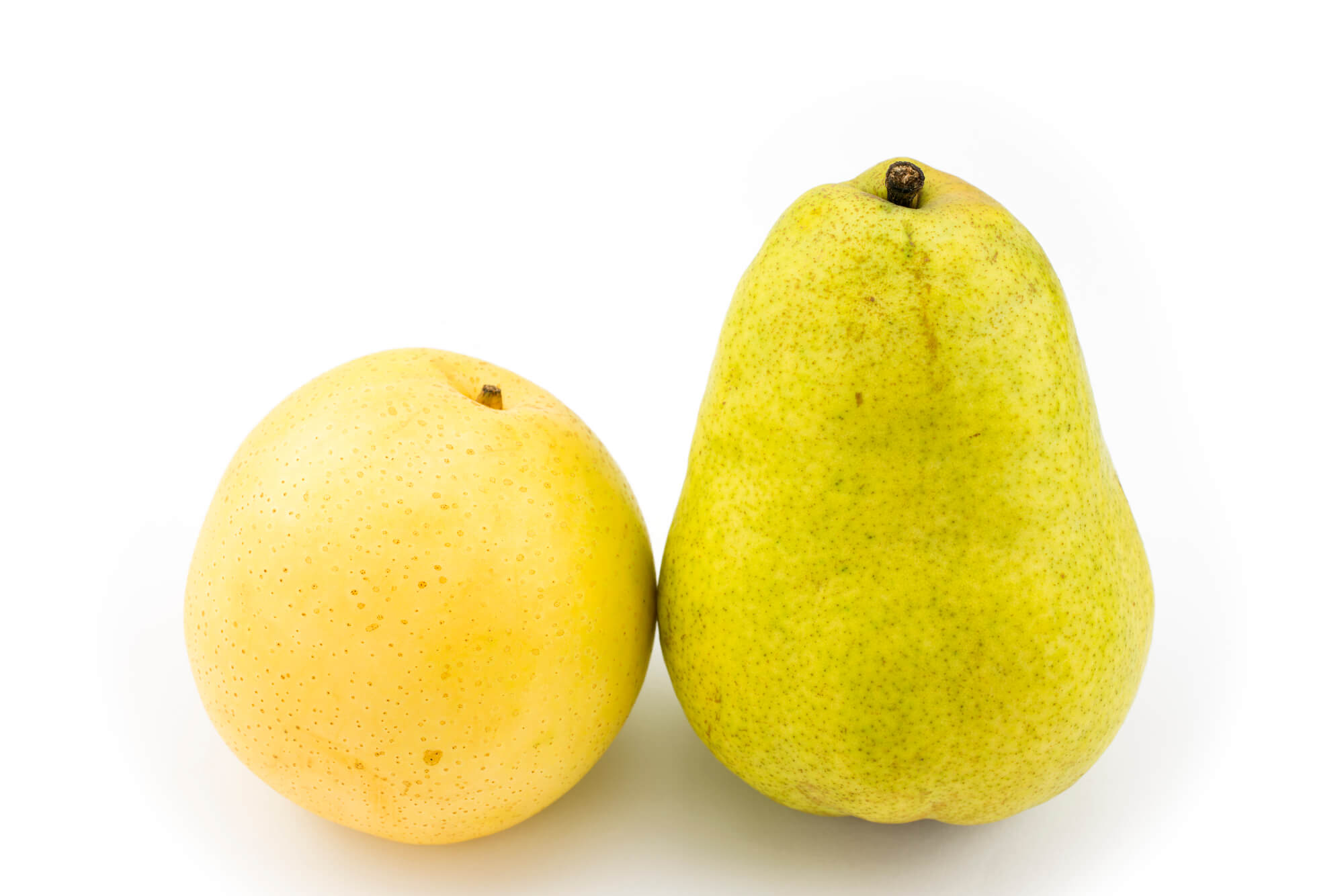 大見出し大見出し