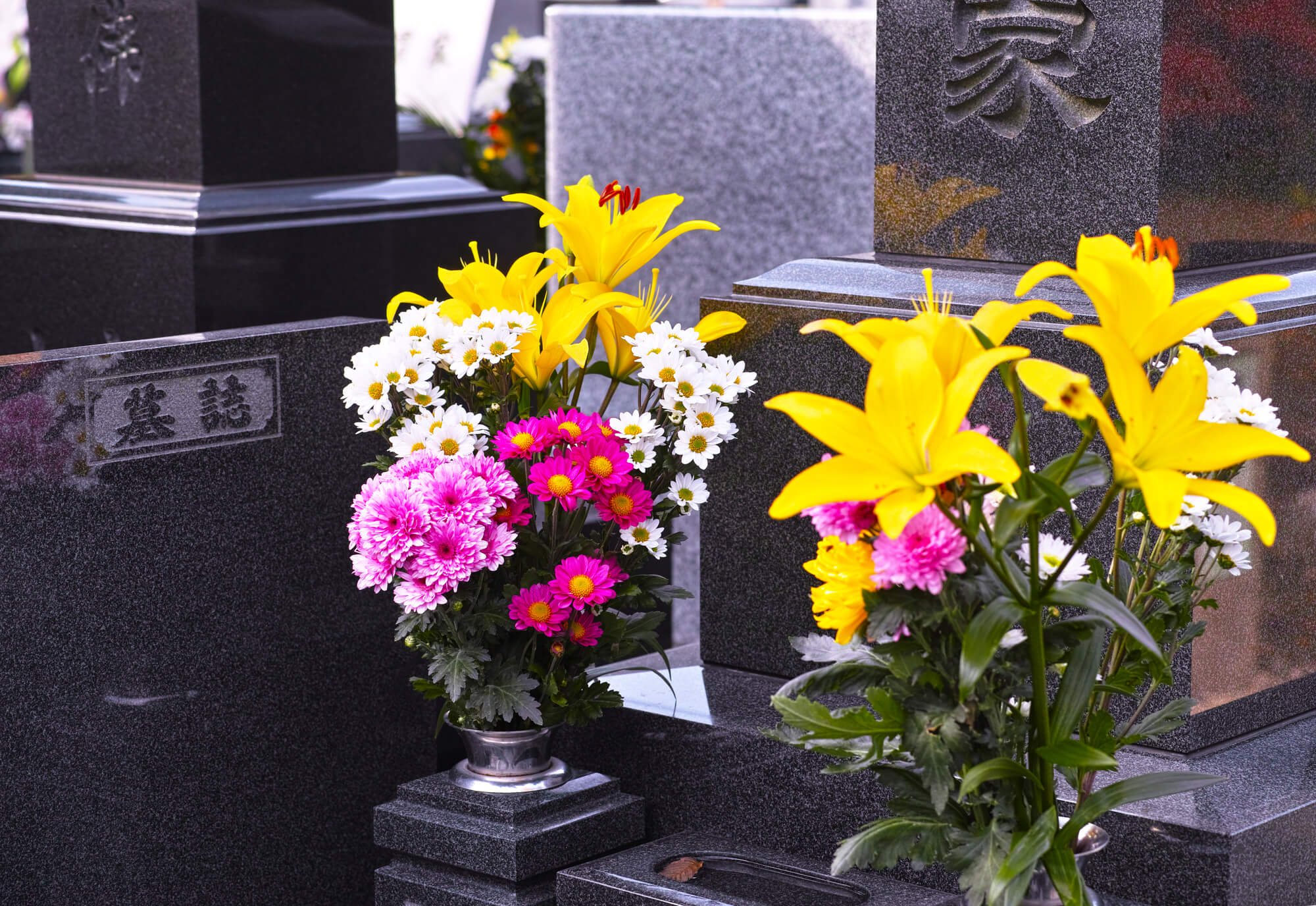 大見出し大見出し