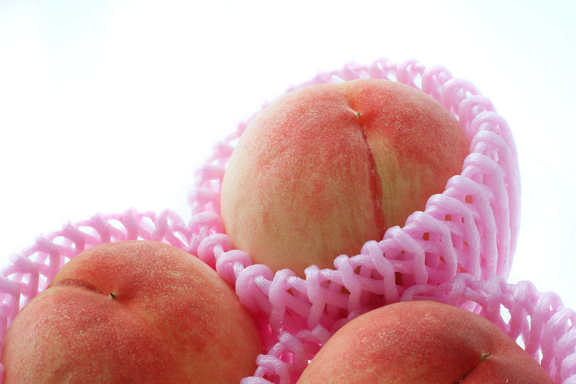 大見出し大見出し