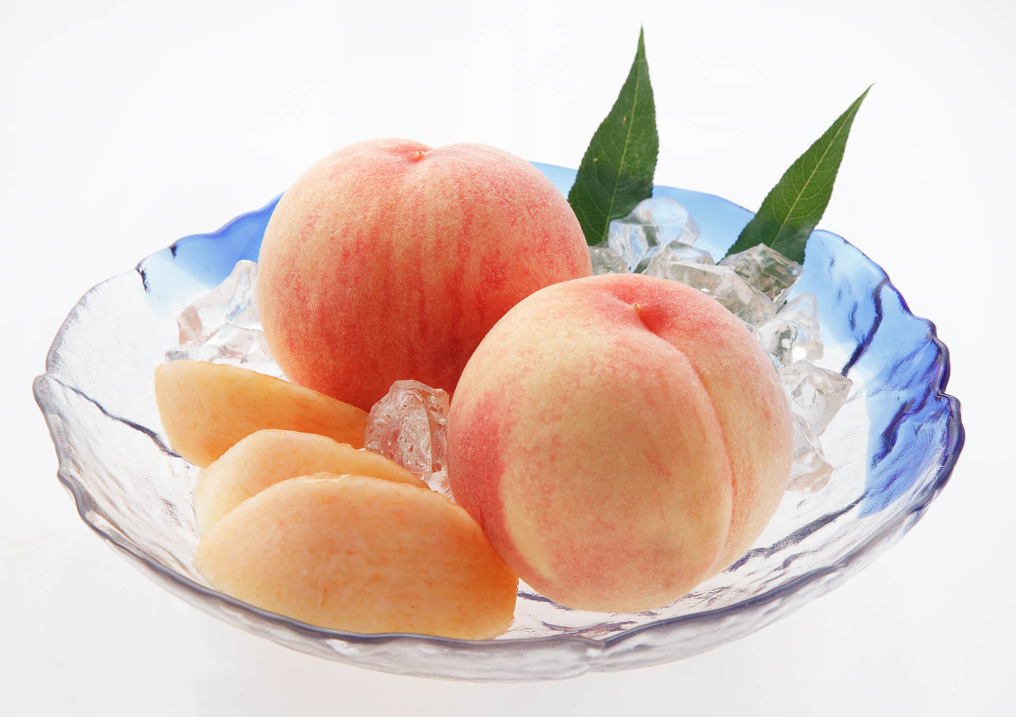 大見出し大見出し