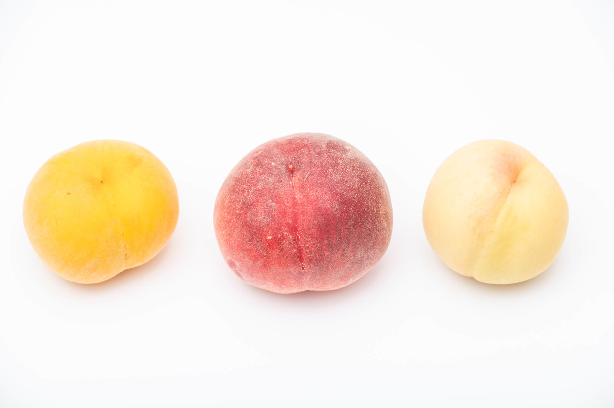 大見出し大見出し