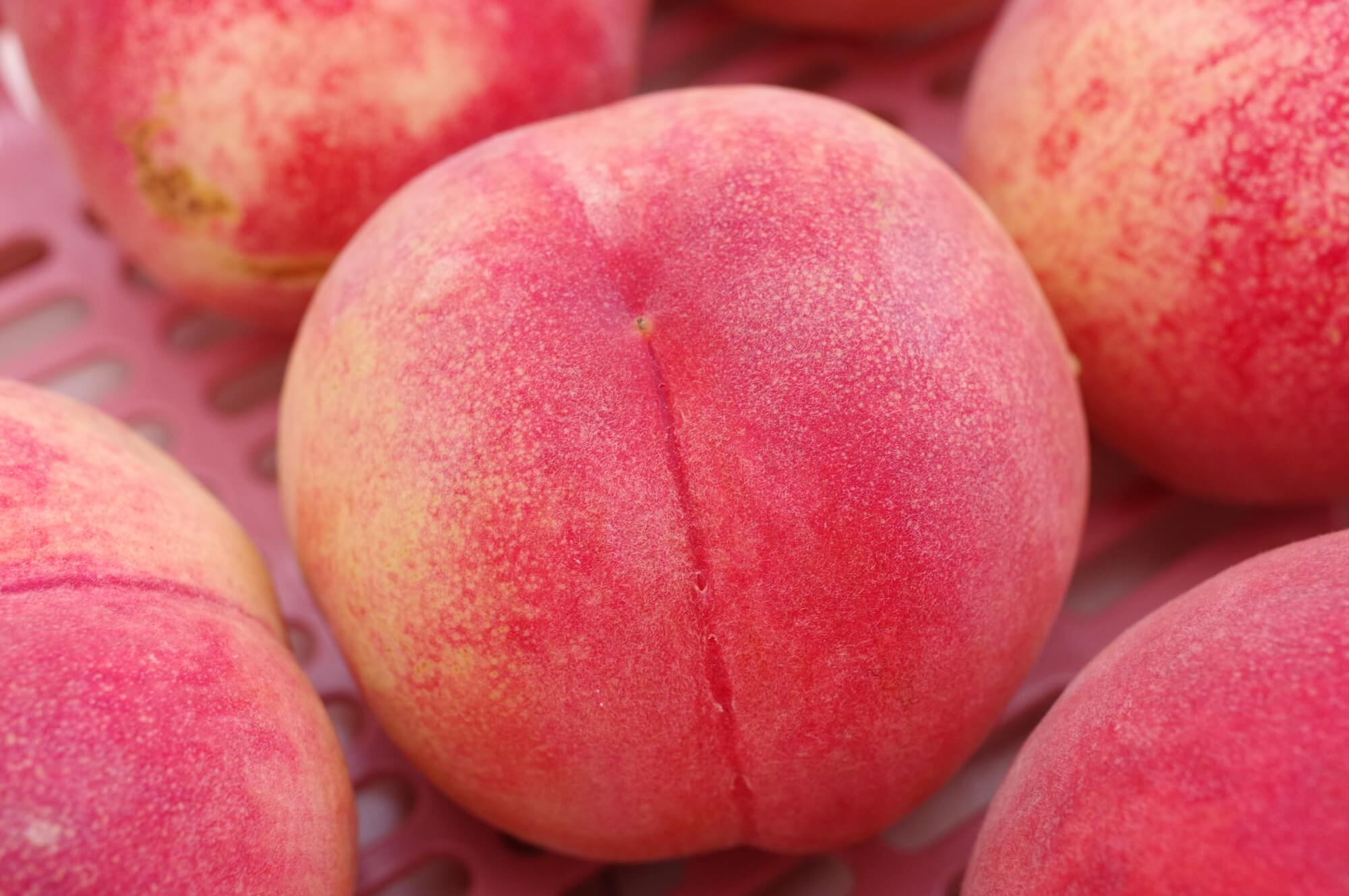 大見出し大見出し