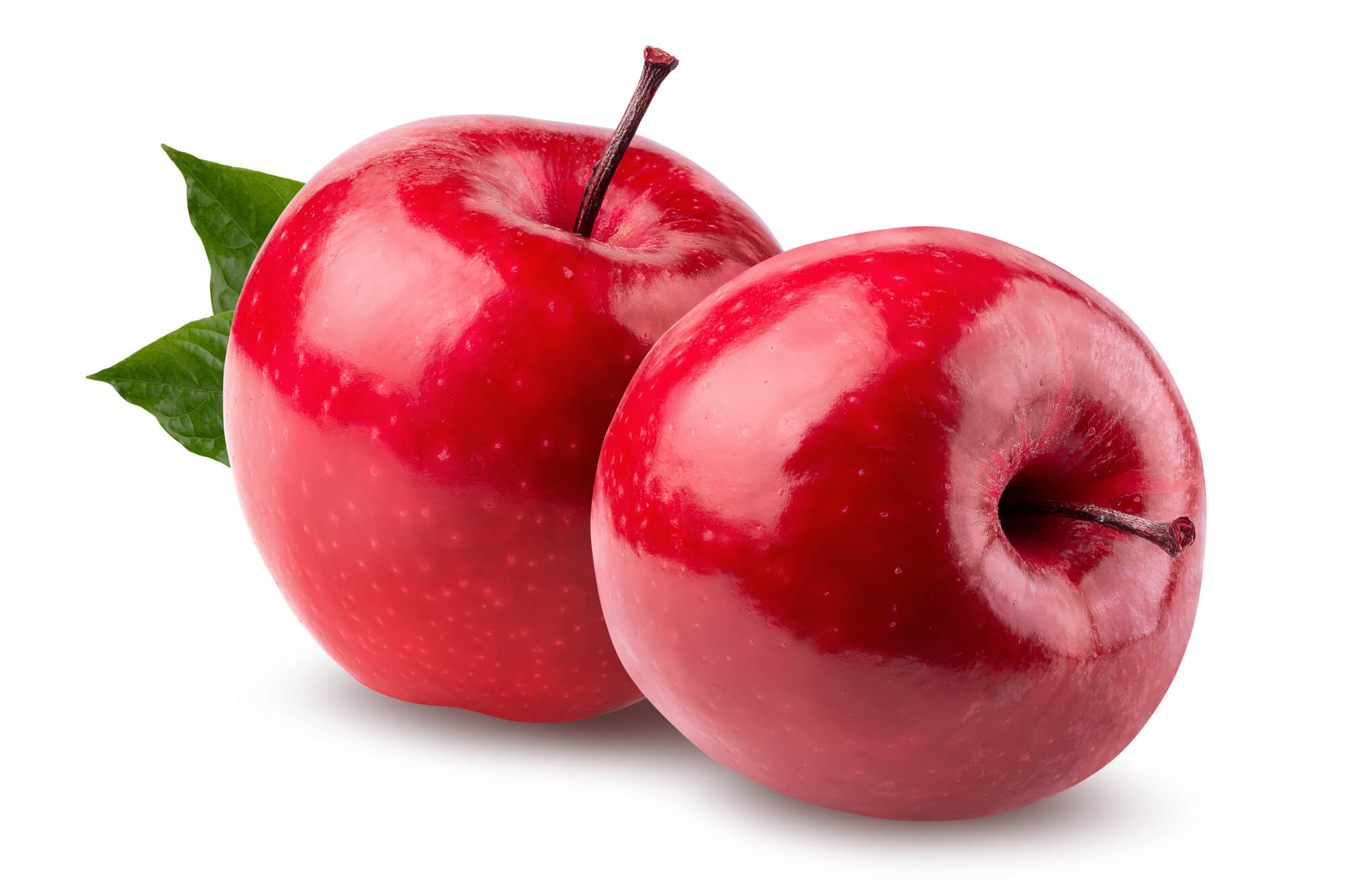 大見出し大見出し