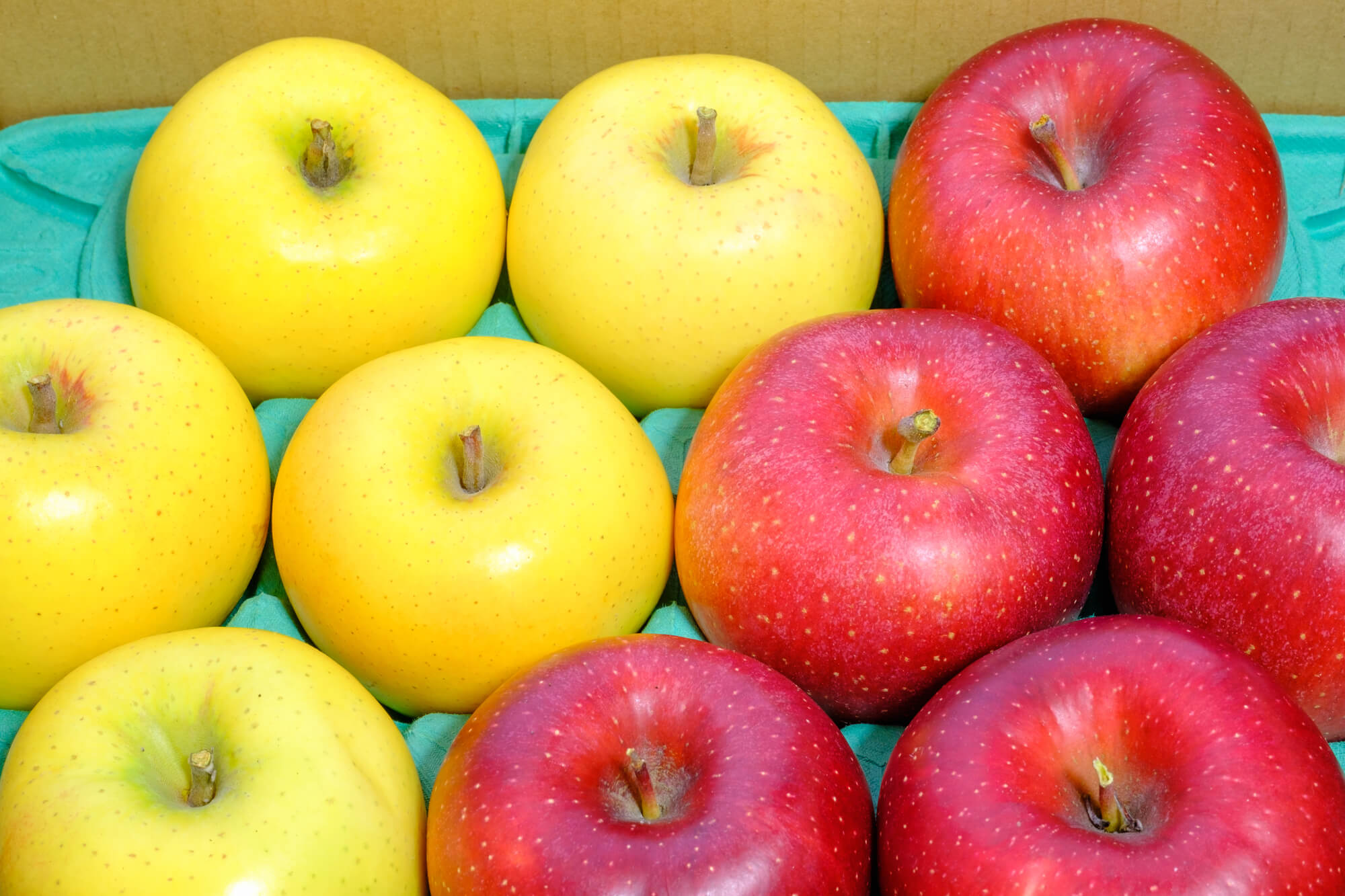 大見出し大見出し