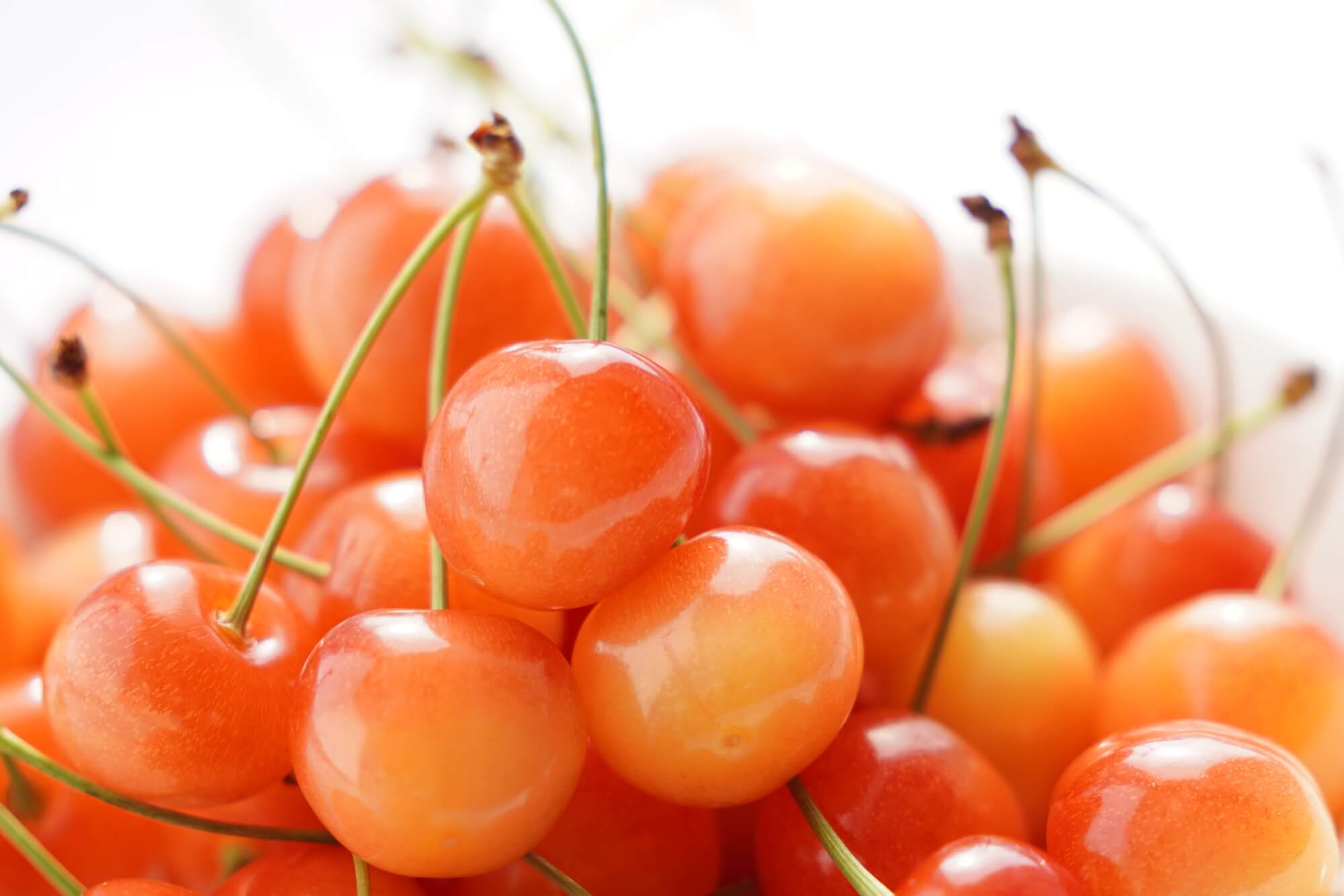 大見出し大見出し