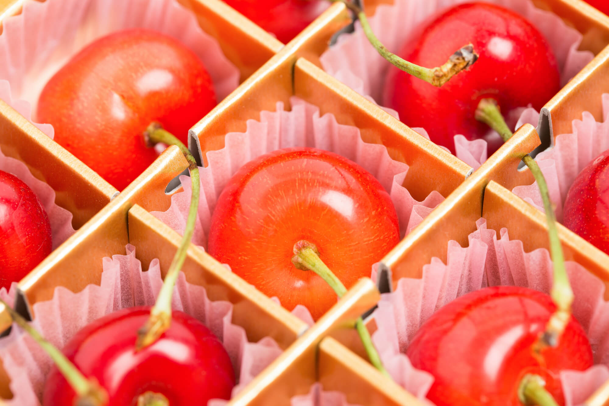 大見出し大見出し