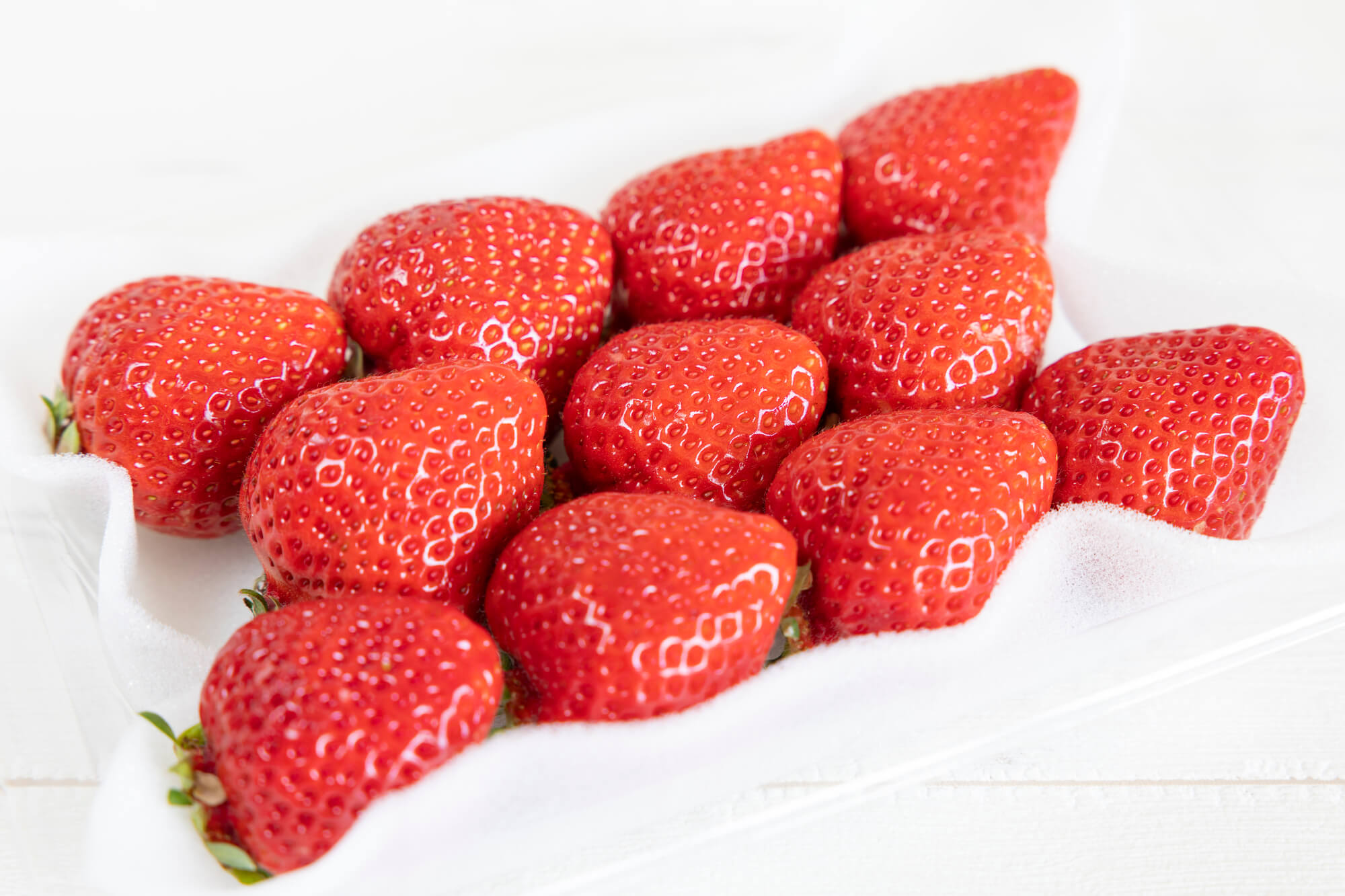 大見出し大見出し