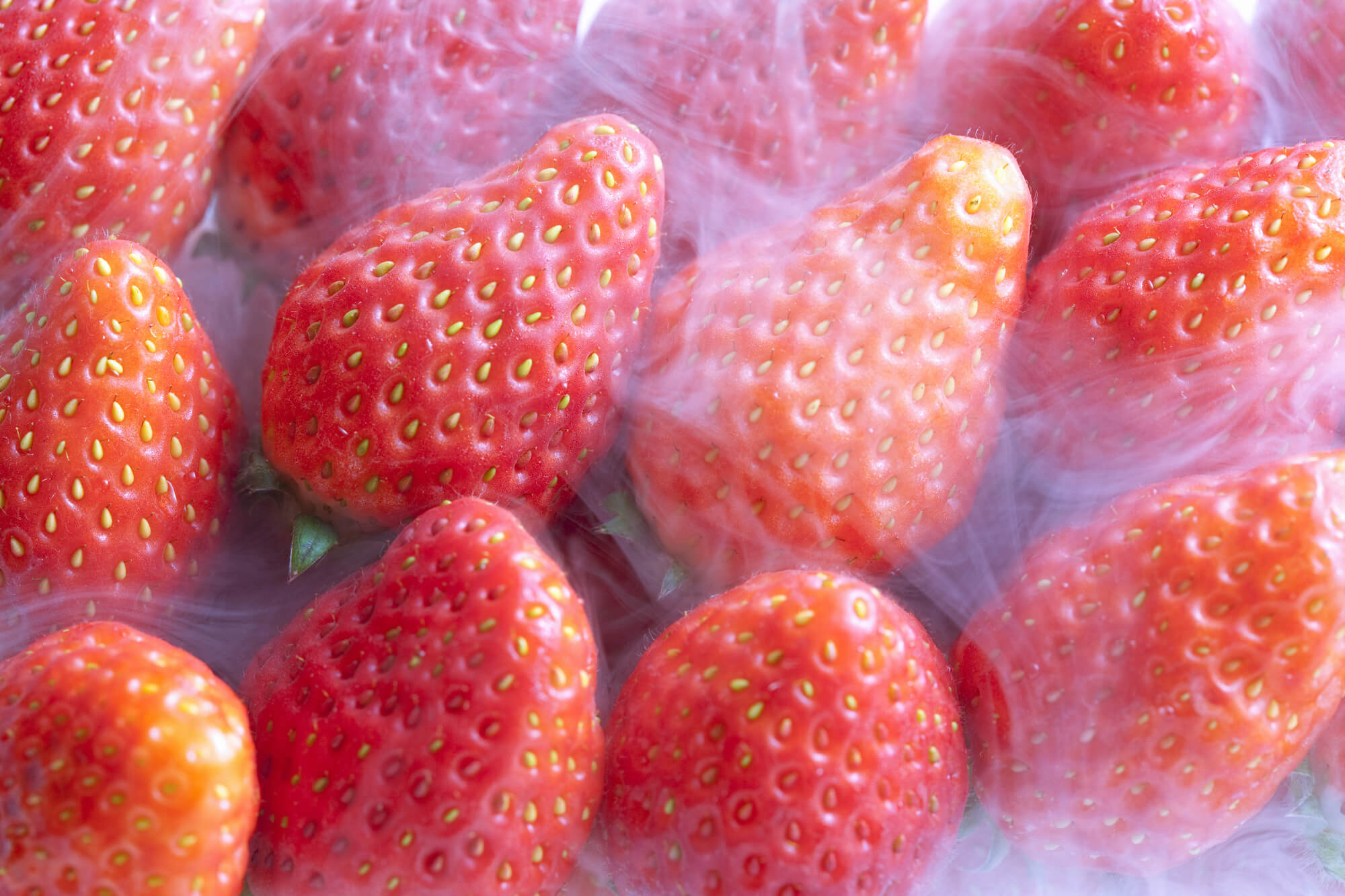 大見出し大見出し