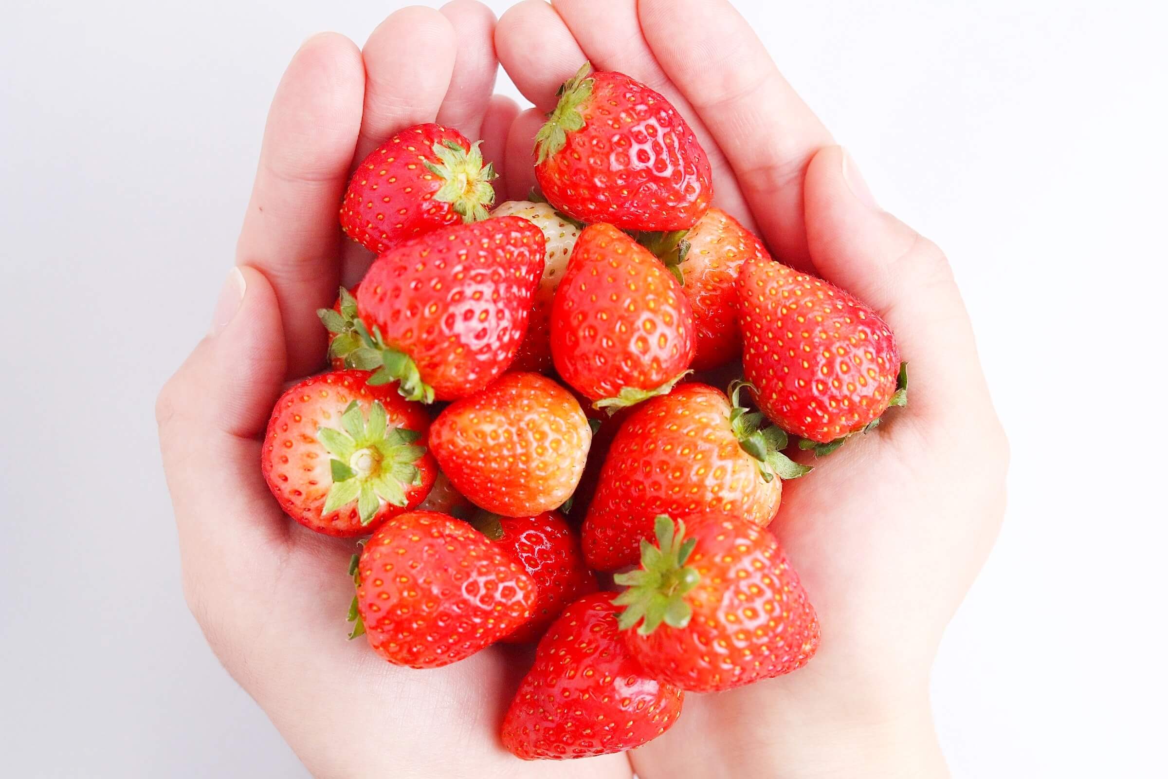 大見出し大見出し