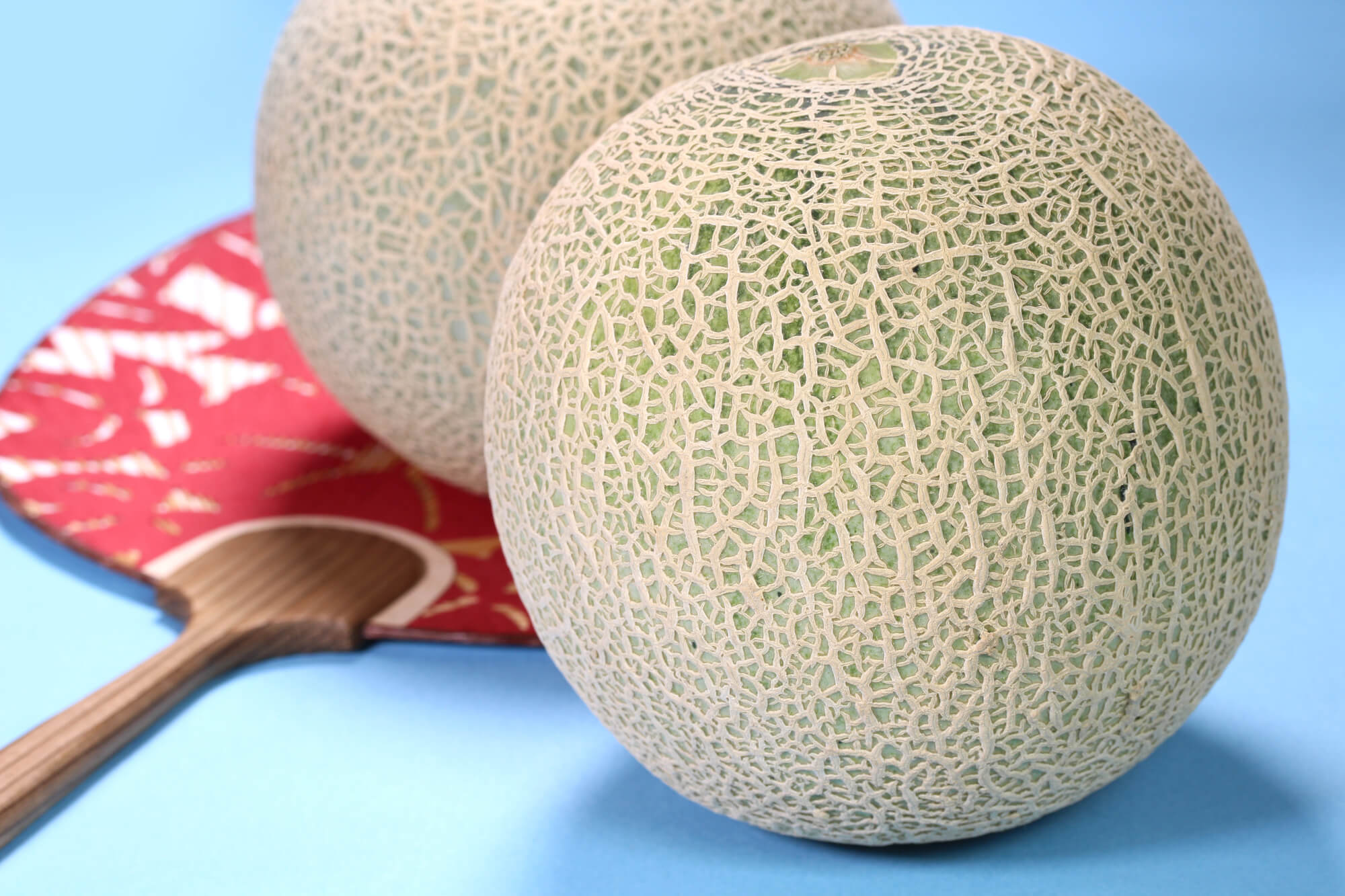 大見出し大見出し