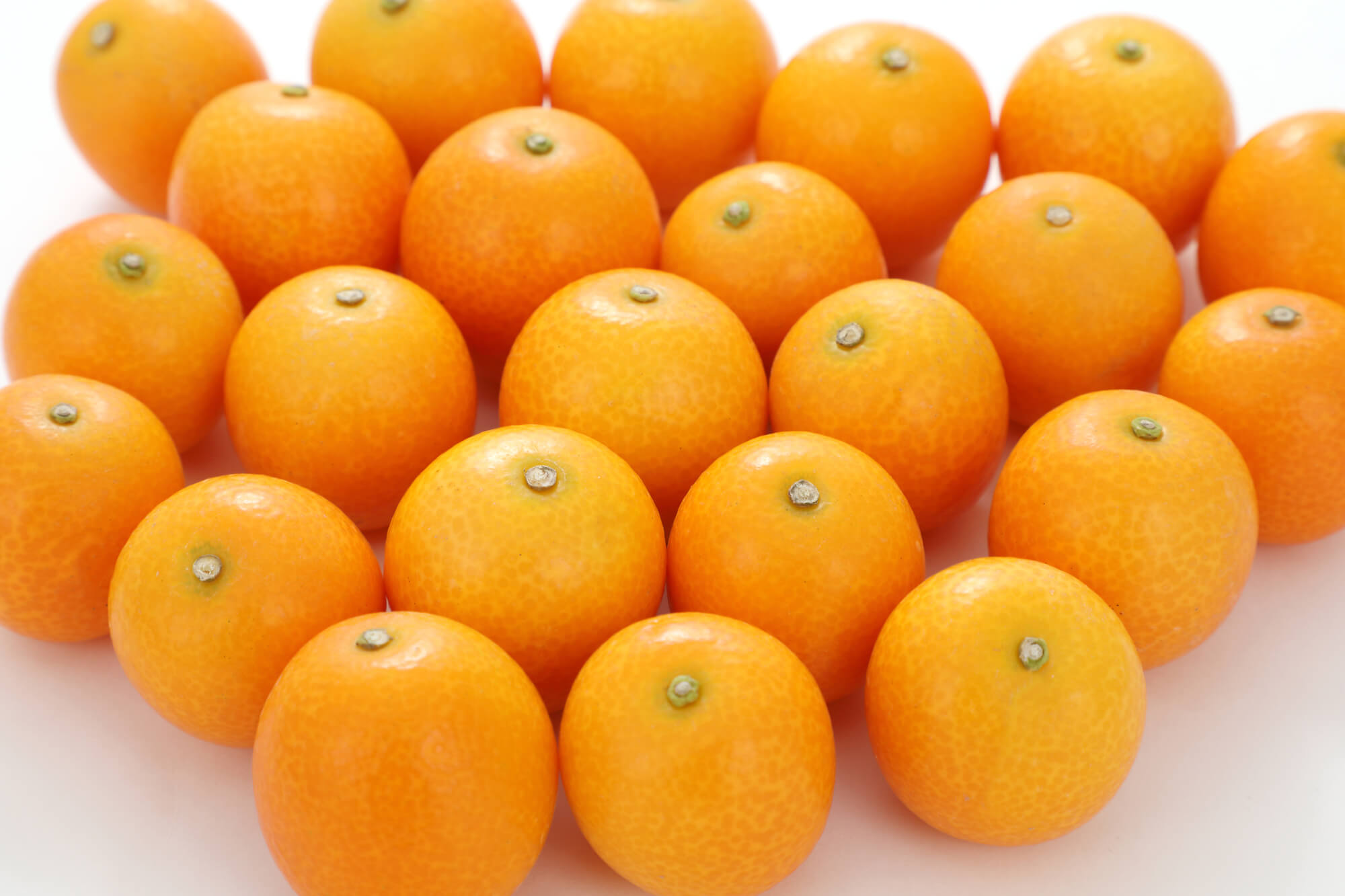 大見出し大見出し