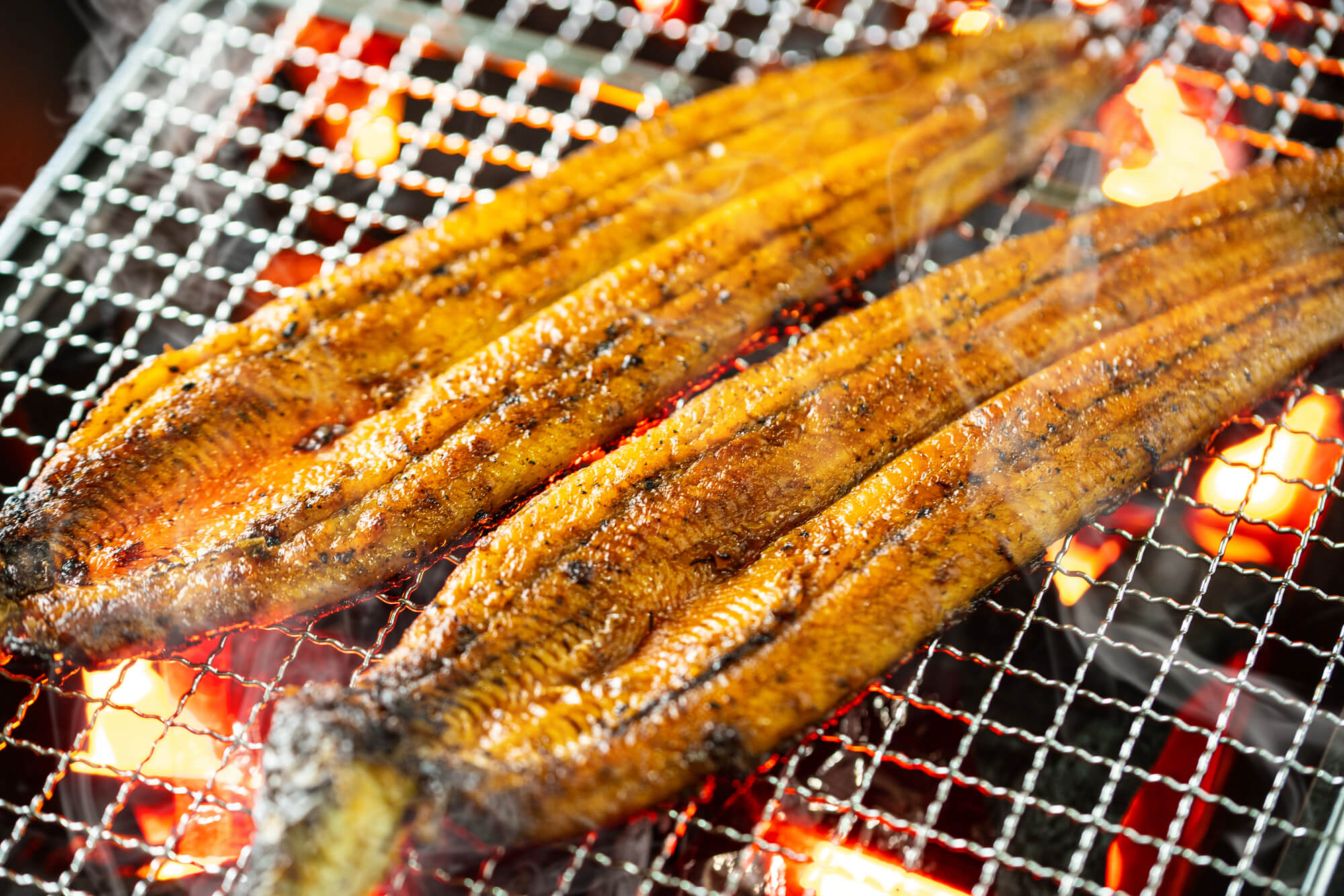 大見出し大見出し