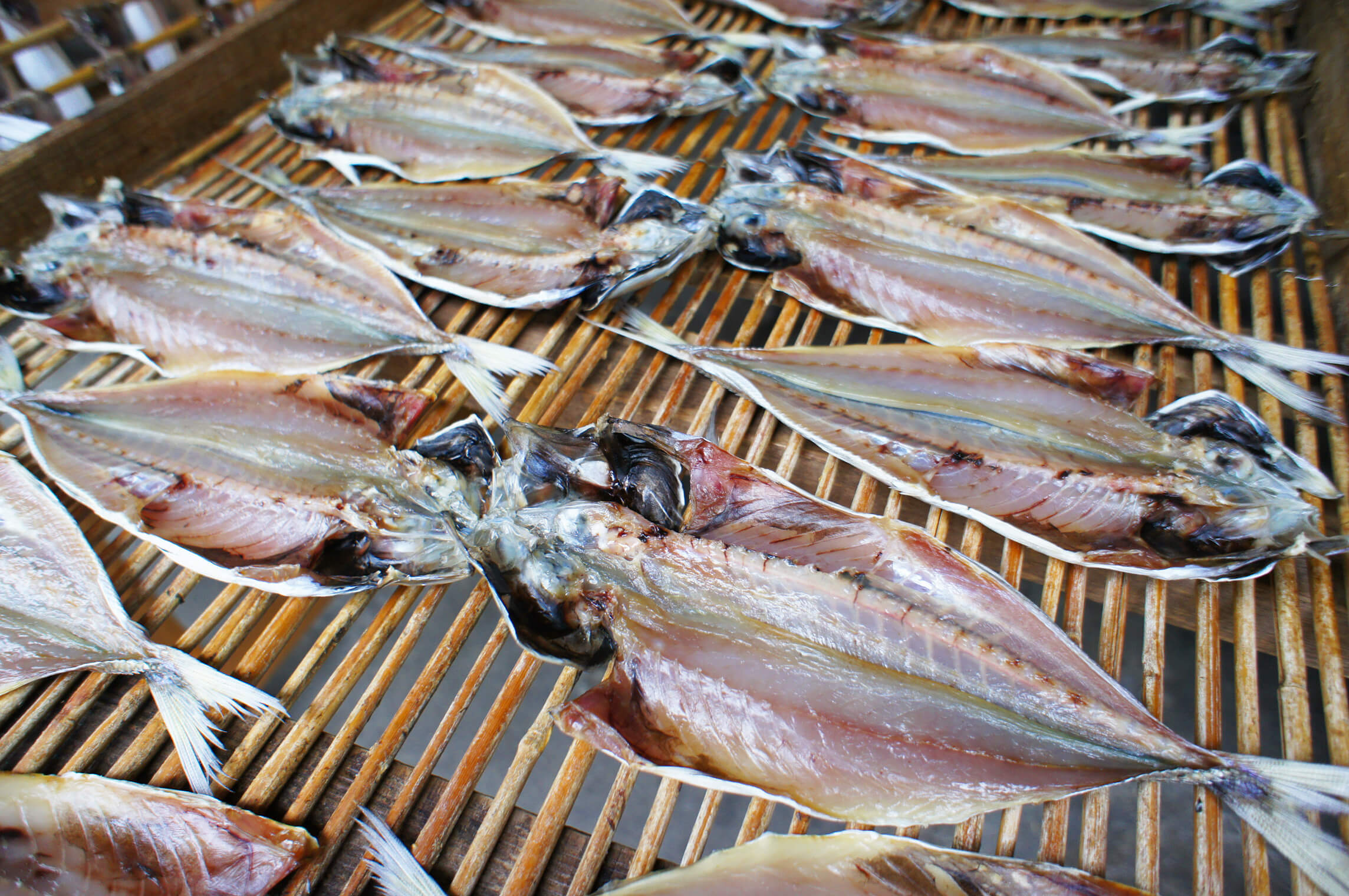 大見出し大見出し