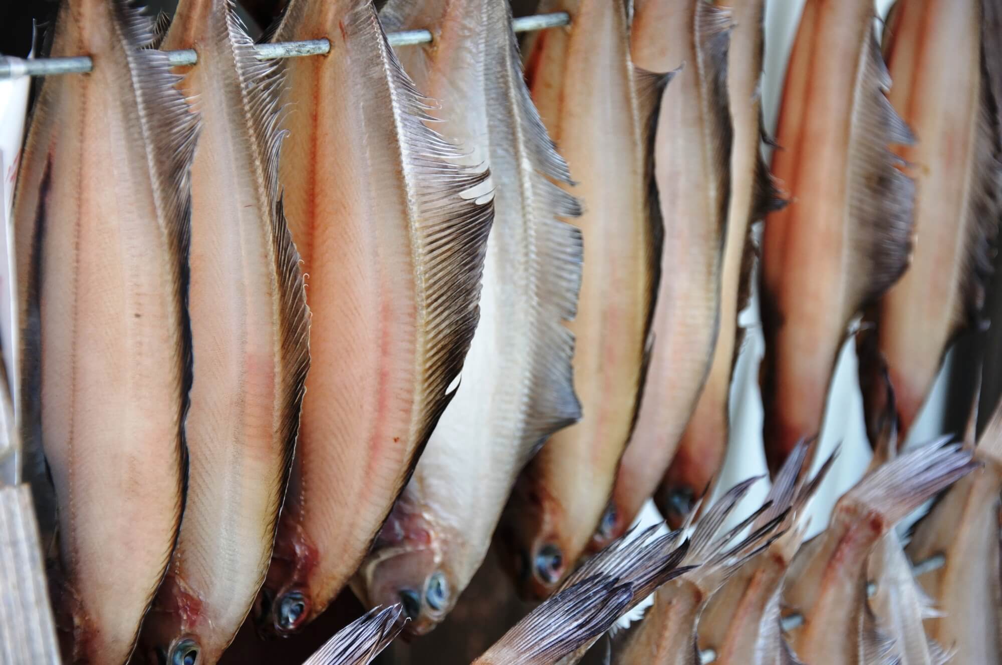 大見出し大見出し