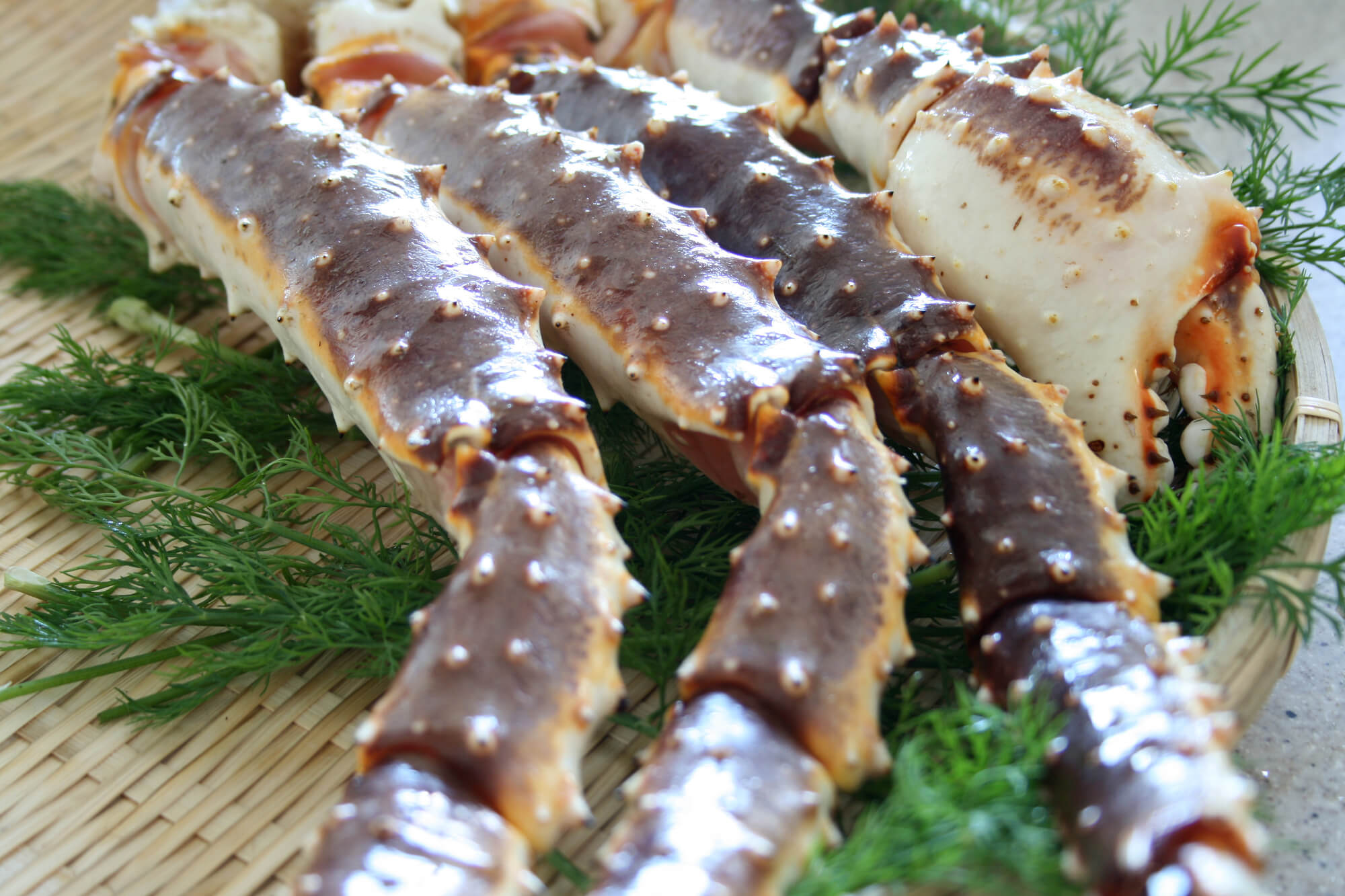 大見出し大見出し