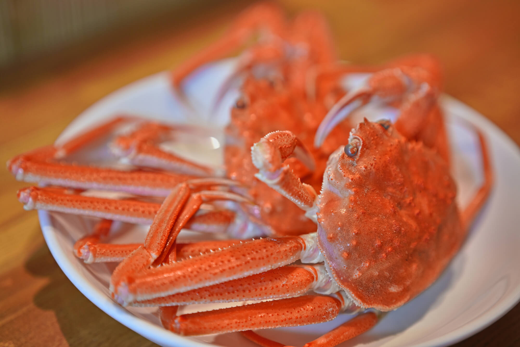 大見出し大見出し