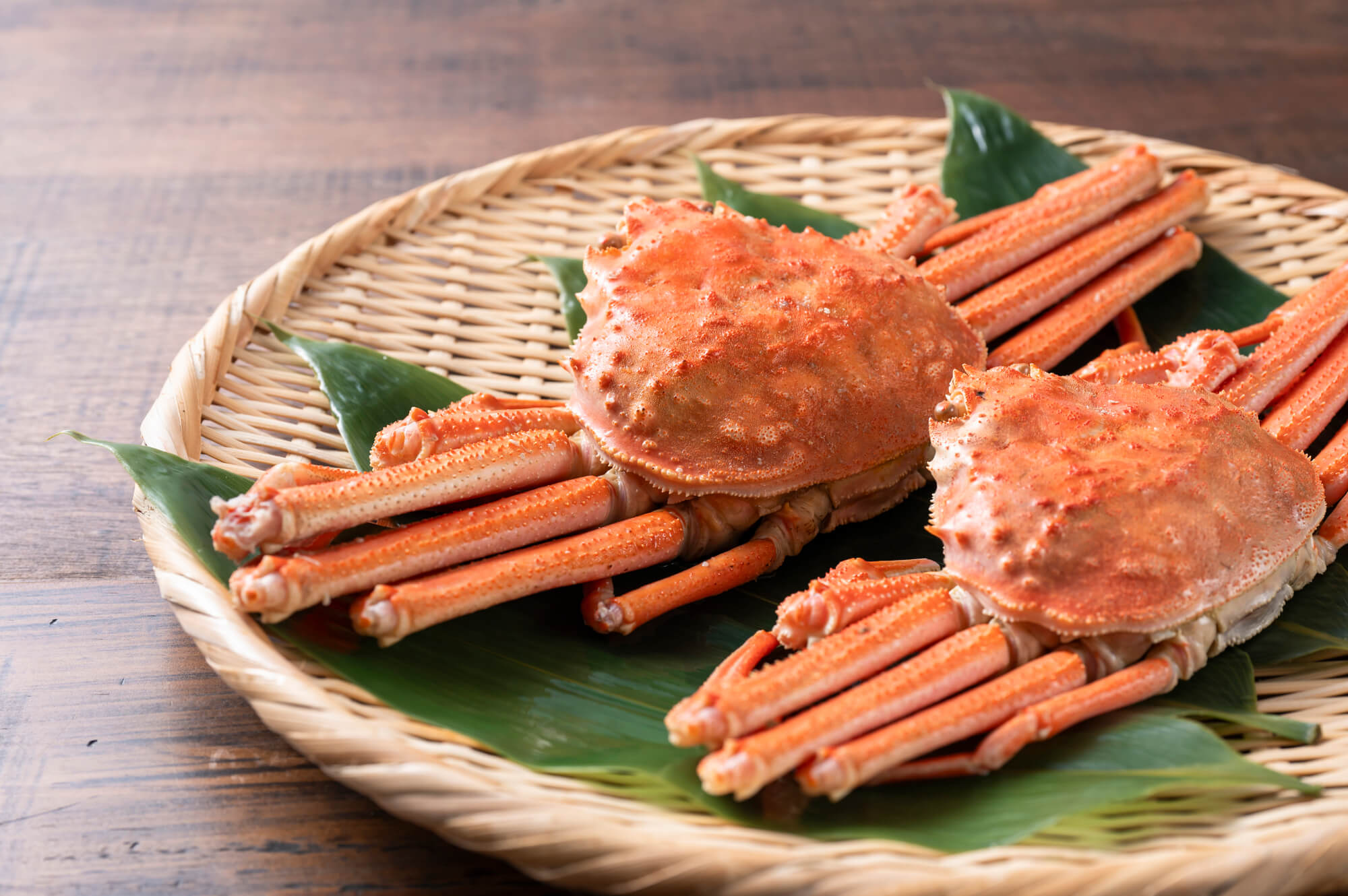 大見出し大見出し