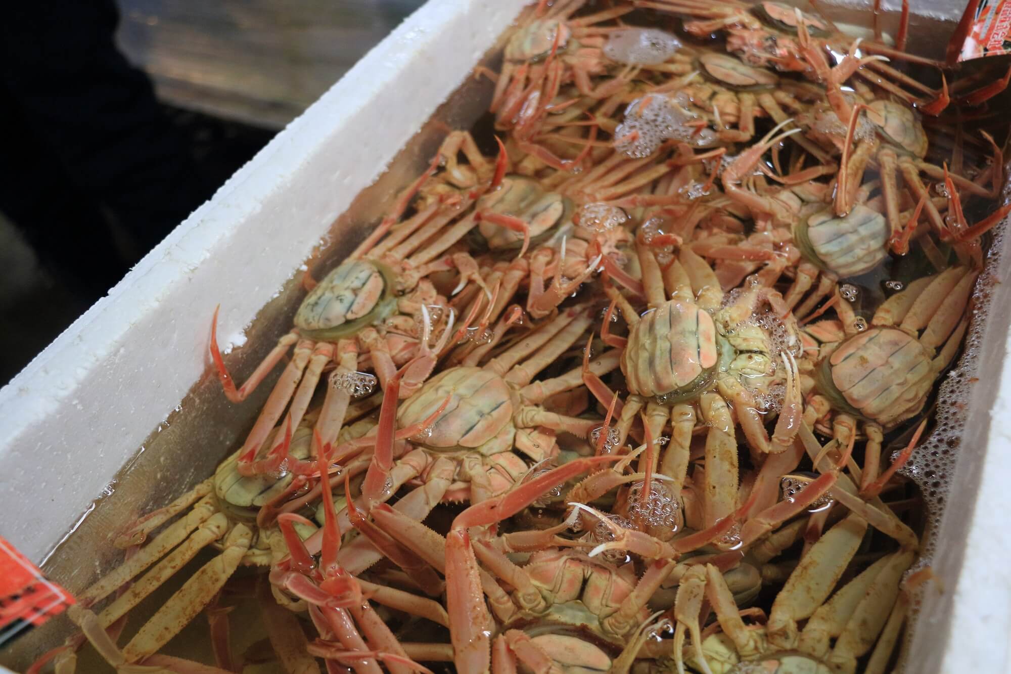 大見出し大見出し